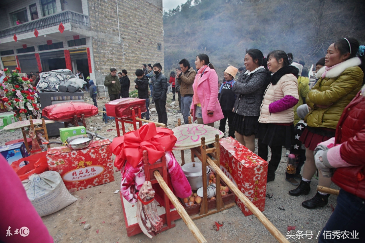 挣钱养花怎么回复对方_如何挣钱养花_赚钱养花花