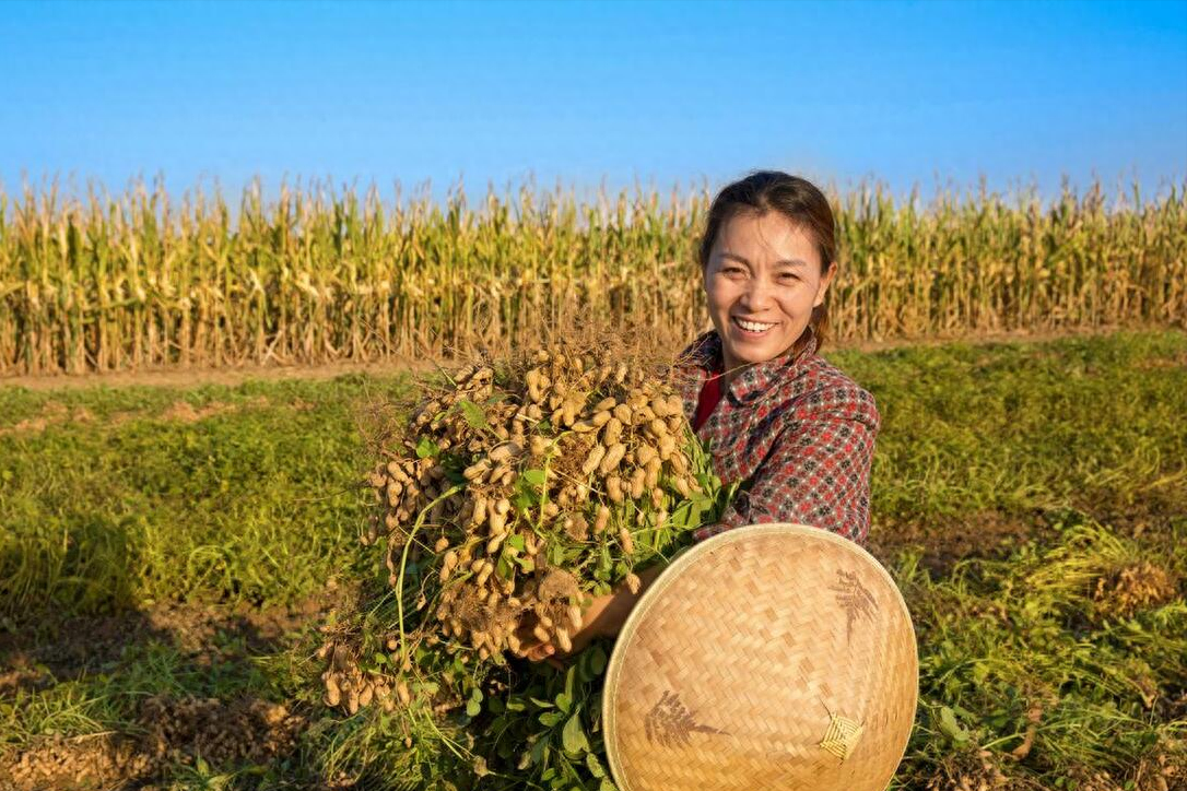 挣钱出去玩的说说_出去如何挣钱_挣钱出去吃饭消费正常吗