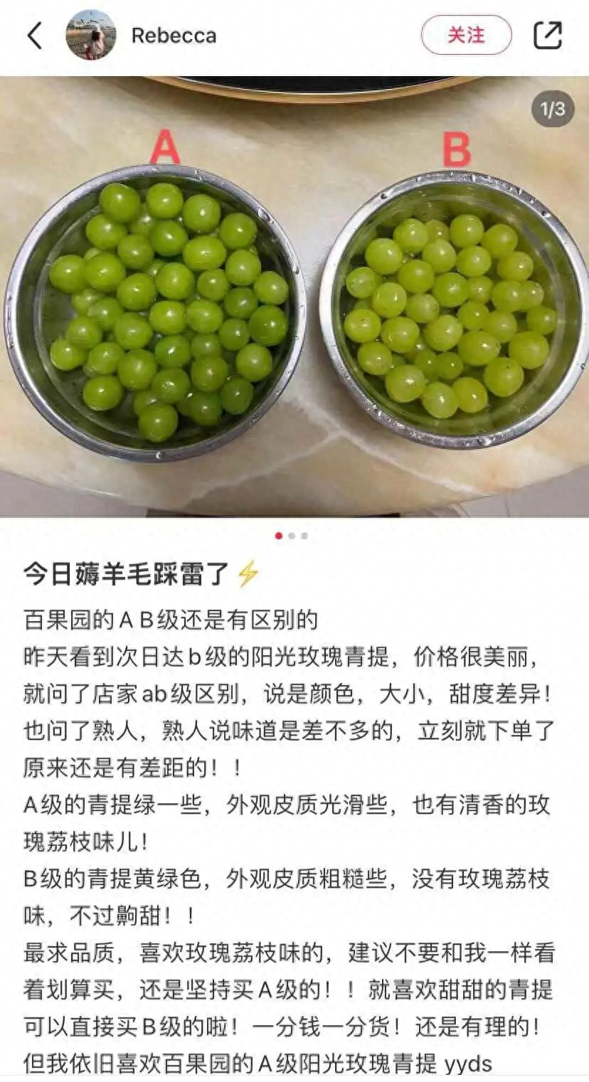 水果包装如何挣钱_水果包装如何挣钱_水果包装如何挣钱