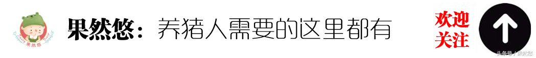 挣钱养猪的意思是什么_如何养猪挣钱_挣钱养猪繁体字