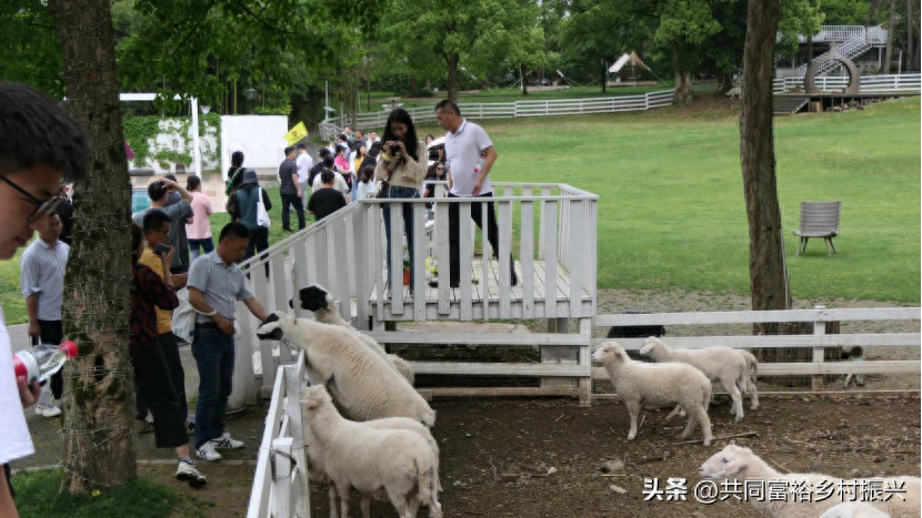 赚钱农场_挣钱农场动物游戏_动物农场如何挣钱