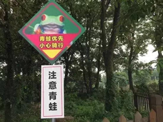 旅游青蛙如何挣钱_旅游青蛙如何挣钱_旅游青蛙如何挣钱