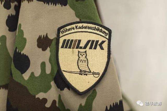 瑞士导游如何挣钱_瑞士的导游词_导游赚的钱多吗