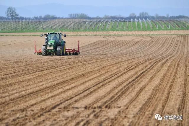 导游赚的钱多吗_瑞士导游如何挣钱_瑞士的导游词