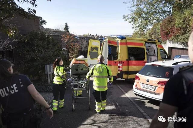 瑞士的导游词_导游赚的钱多吗_瑞士导游如何挣钱