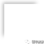 瑞士的导游词_导游赚的钱多吗_瑞士导游如何挣钱