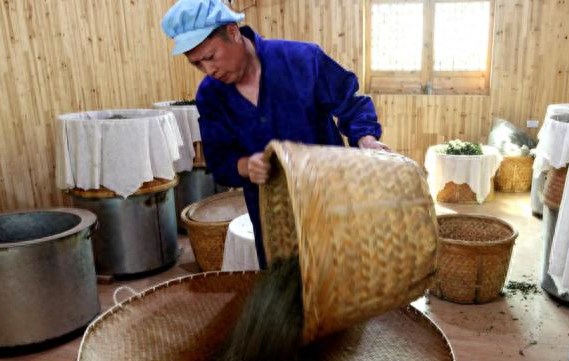 茶叶赚钱_现在茶叶生意怎么做_鲜茶叶如何挣钱