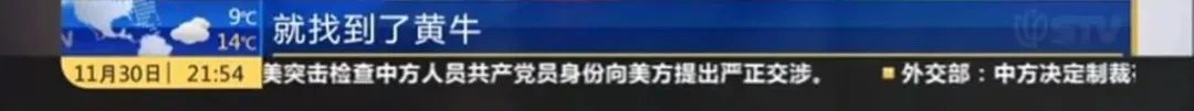 扣分黄牛如何挣钱_找黄牛扣分多少钱一分_黄牛扣分犯法吗