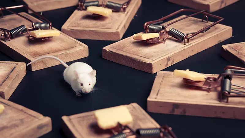 捕鱼一天赚十万_捕鱼一天赚100元_每天能赚30 50元的捕鱼软件