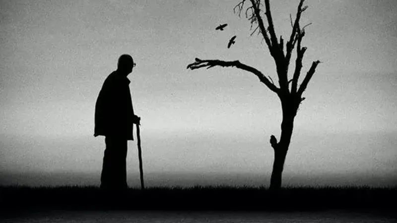 每天能赚30 50元的捕鱼软件_捕鱼一天赚十万_捕鱼一天赚100元