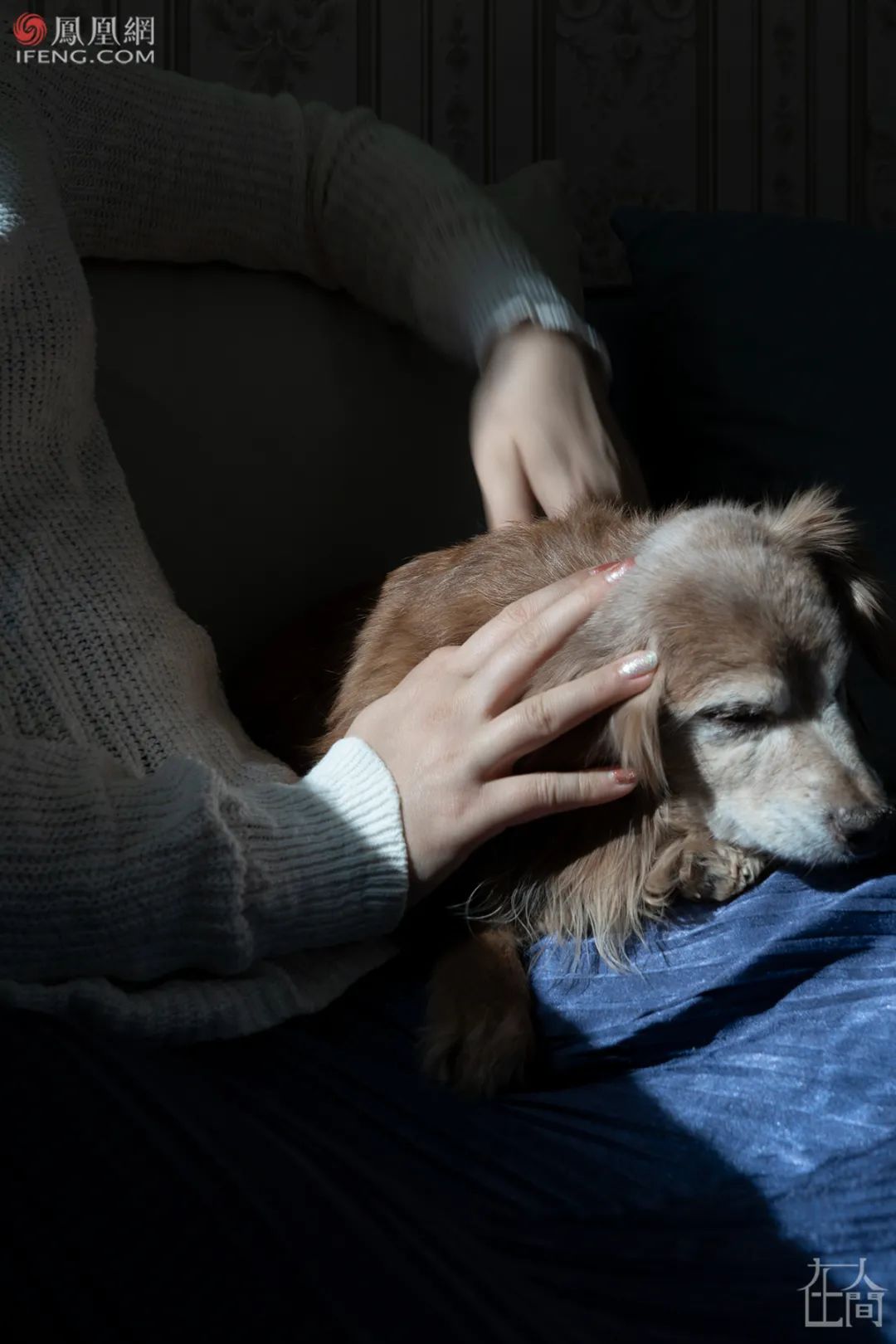 挣钱养家的女人说说_挣钱养家的女人苦不苦_女人如何挣钱养老