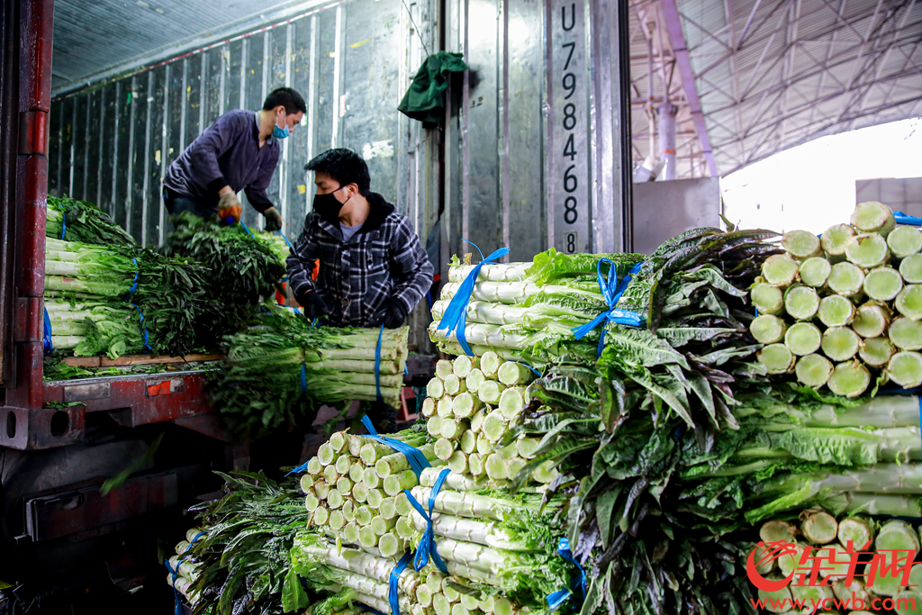 粮油蔬菜店如何挣钱_挣钱蔬菜粮油店怎么样_蔬菜粮油店投资多少