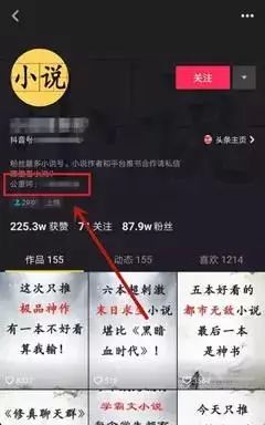 小说运营多少钱一个月_小说挣钱app_付费小说如何运营挣钱