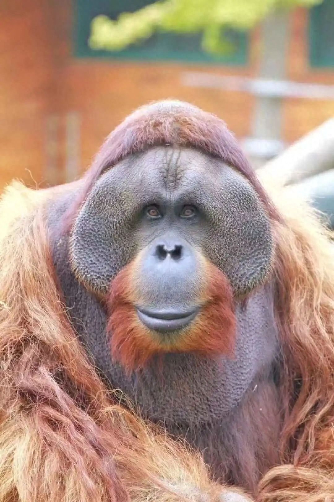 能赚钱提现到微信的游戏有哪些_能赚钱提现到微信的游戏有哪些_能赚钱提现到微信的游戏有哪些