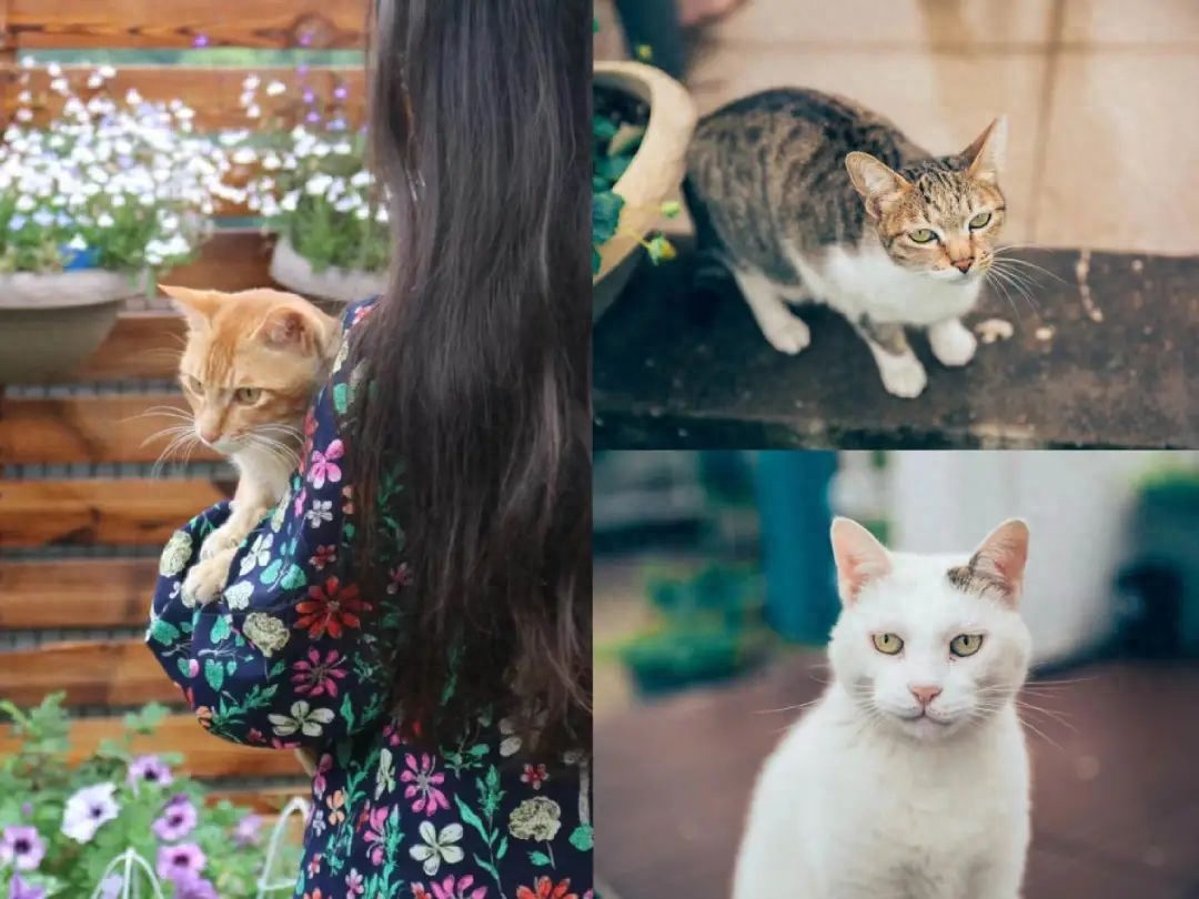 能赚钱提现到微信的游戏有哪些_能赚钱提现到微信的游戏有哪些_能赚钱提现到微信的游戏有哪些