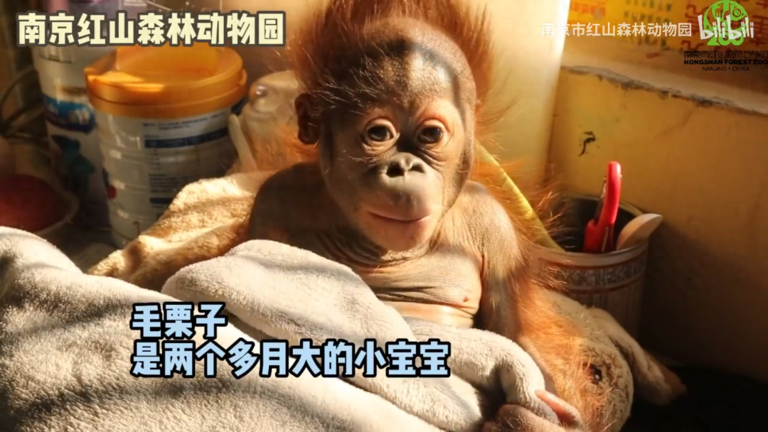 能赚钱提现到微信的游戏有哪些_能赚钱提现到微信的游戏有哪些_能赚钱提现到微信的游戏有哪些