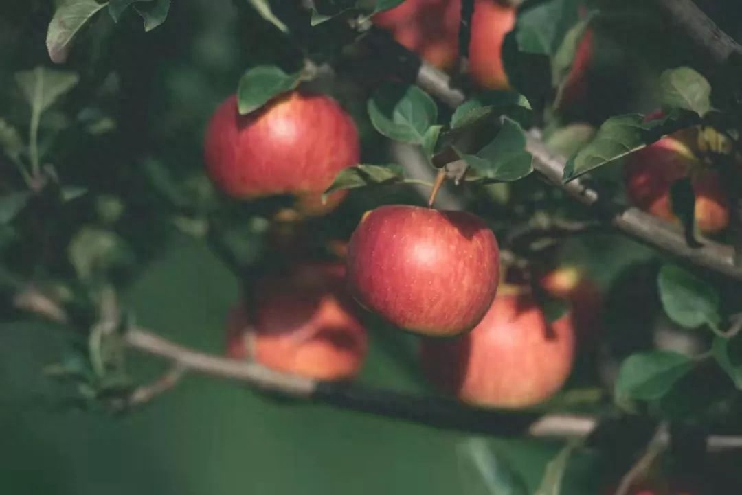 小手工挣钱副业学生文案_副业赚钱手工_手工副业