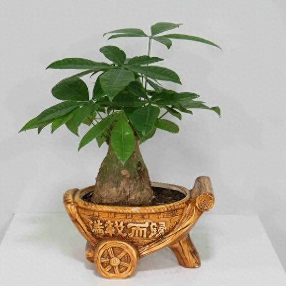 唯有副业真的能挣钱吗_挣钱副业项目_挣钱副业软件下载