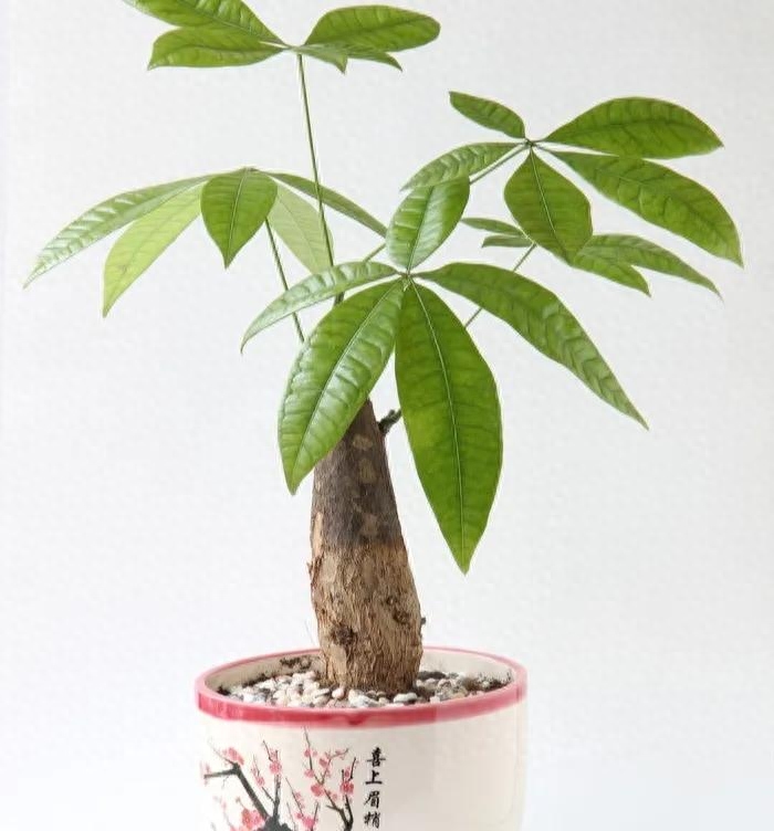 唯有副业真的能挣钱吗_挣钱副业软件下载_挣钱副业项目