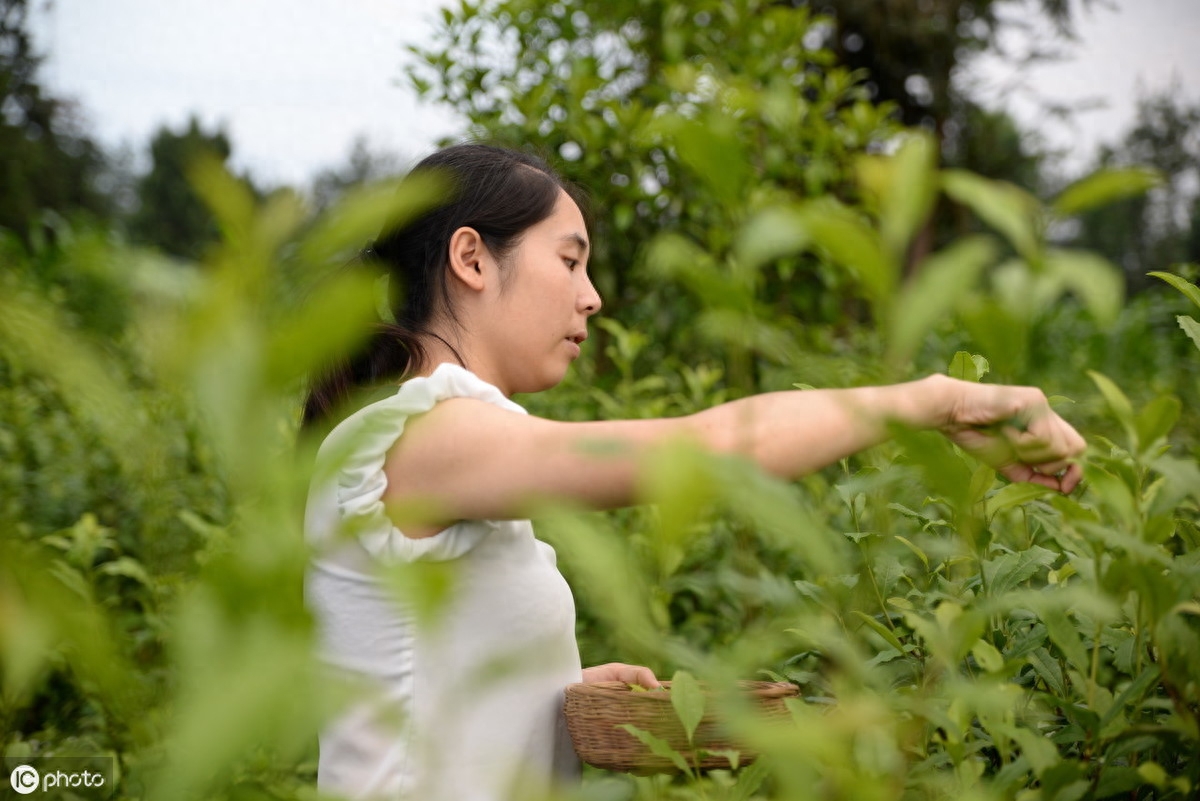 90后最挣钱的副业是-90后副业成刚需？是副业刚需还是副业焦虑？
