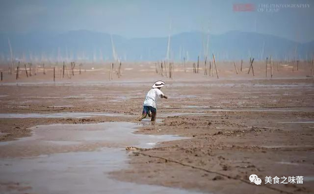 捕鱼一天赚5000_玩捕鱼一天赚100万_捕鱼一天赚200块