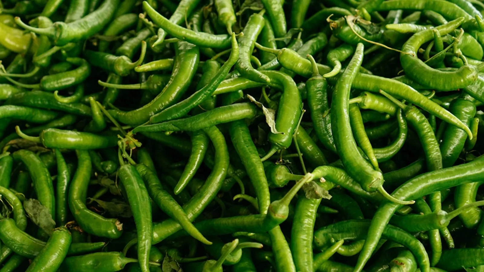 副业小程序挣钱公众号文案-在家就能做的六个副业？！！！