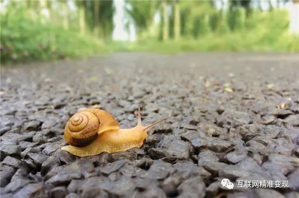 有什么挣钱的小副业吗_挣钱副业有哪些正规_挣钱副业有哪些