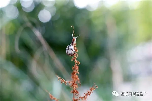 挣钱滴滴跑副业适合做什么_跑滴滴适合做什么副业挣钱_跑滴滴副业怎么样