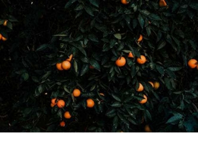 主业和副业的英文_主业英文_主业英文副业怎么写