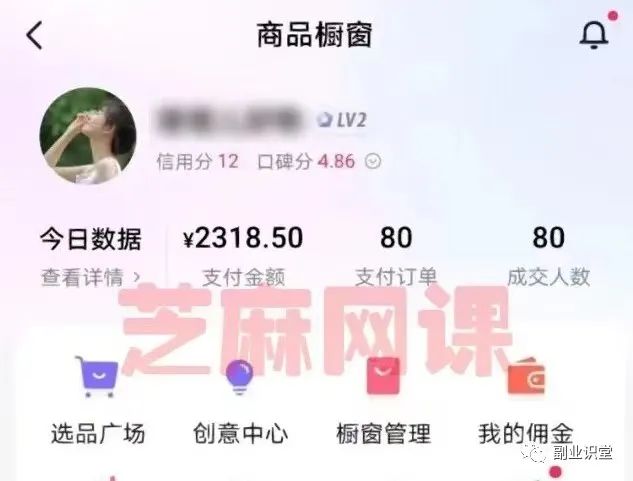 挣钱副业项目_vlog副业挣钱_挣钱副业软件下载