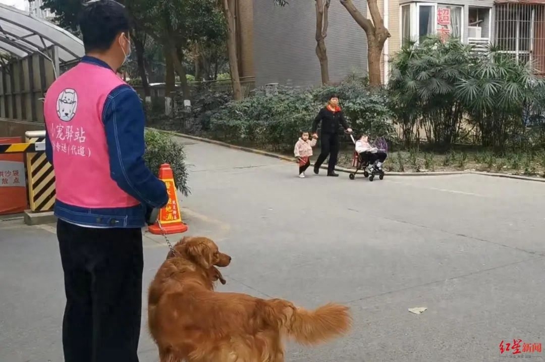 小区副业挣钱_挣钱小区副业怎么做_小区挣钱项目