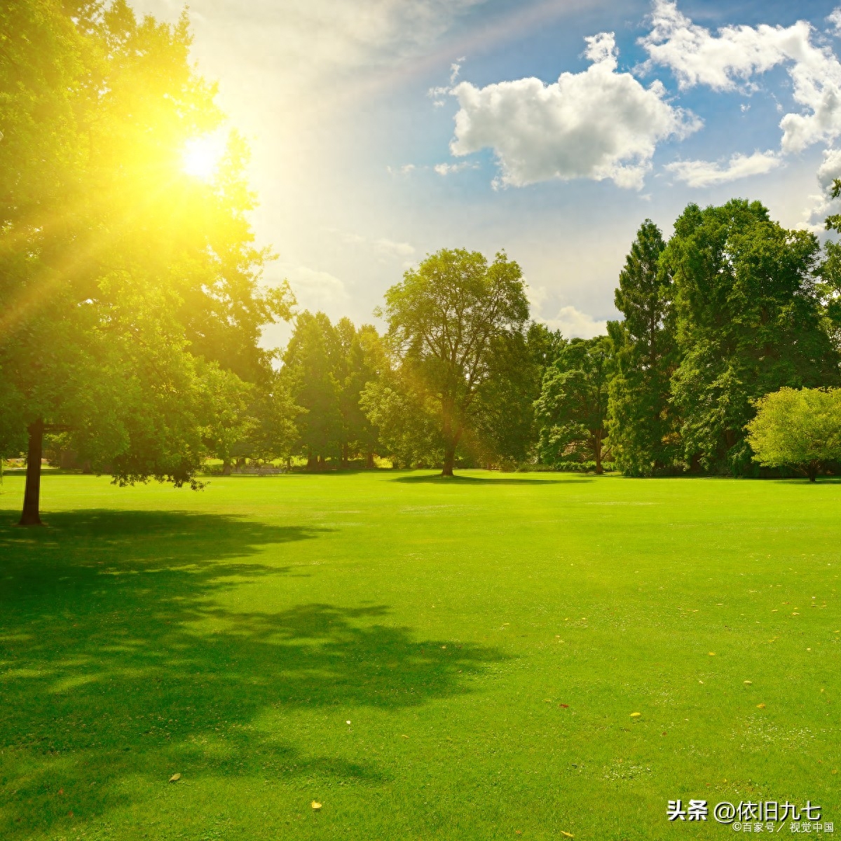 副业想做tk_想做点副业_副业想做餐饮怎么做