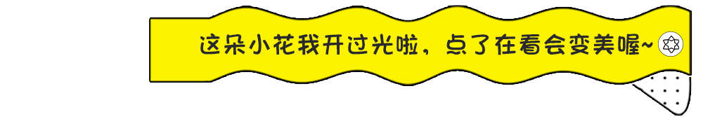 章子怡和汪峰视频播放_汪峰为什么会接盘章子怡_章子怡汪峰互相成就