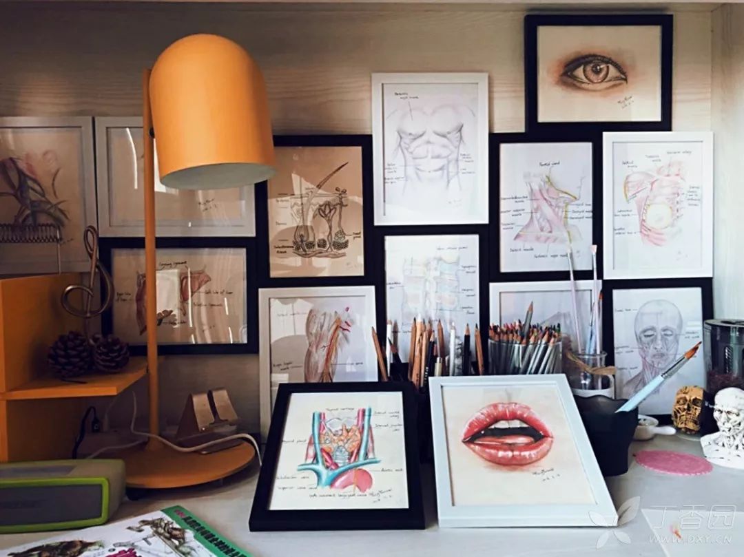 副业平台赚钱_副业平台app_副业平台是真的吗