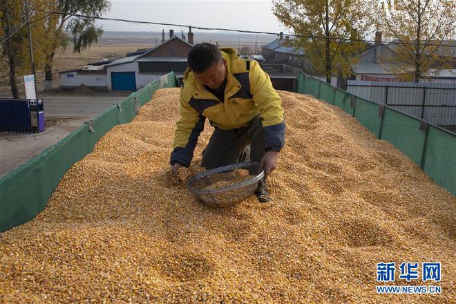 东北地区粮食产量高_粮食产量东北高吗_东北粮食高产量