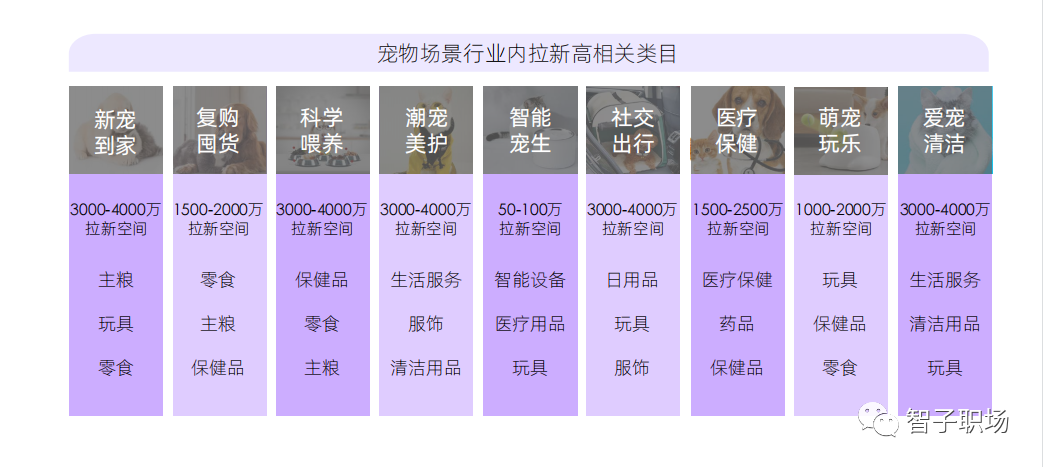 狗仔赚钱_挣钱狗狗副业怎么赚钱_狗狗的挣钱副业