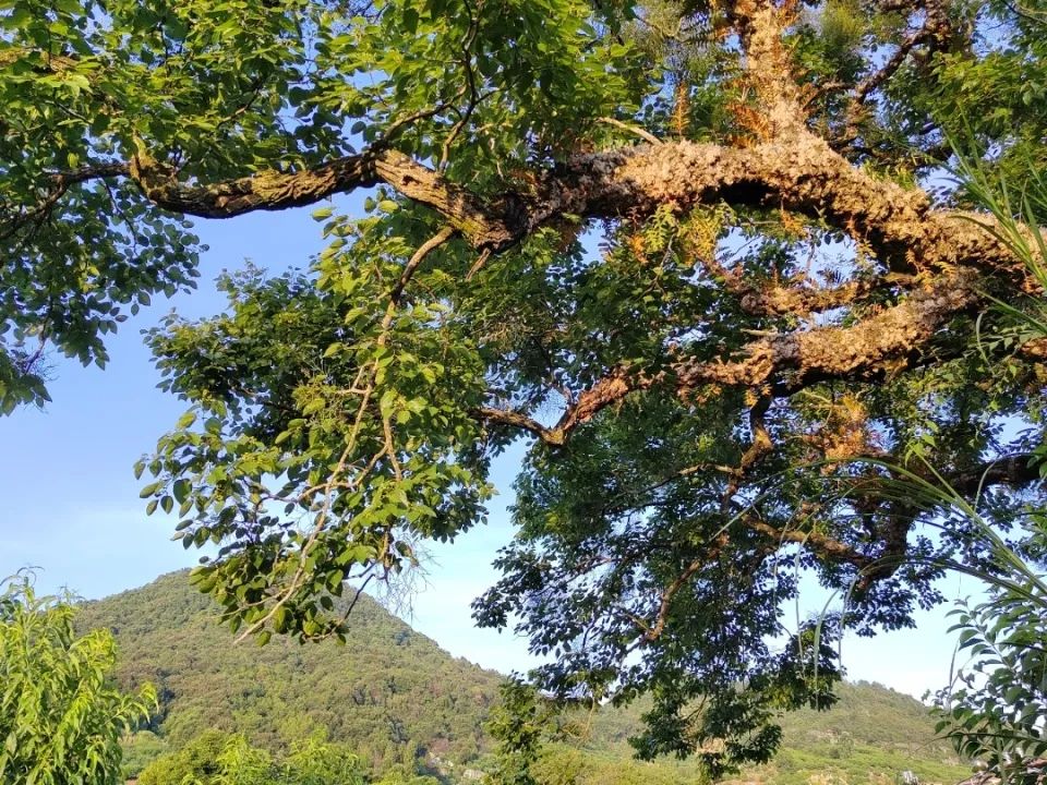 搞副业可以赚大钱吗视频_视频能挣钱_视频赚搞副业大钱可以赚多少钱