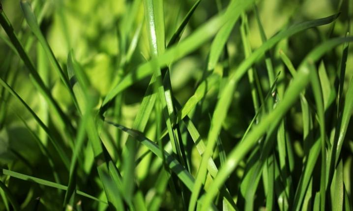 明星们的副业_明星副业赚钱_明星副业都有哪些种类