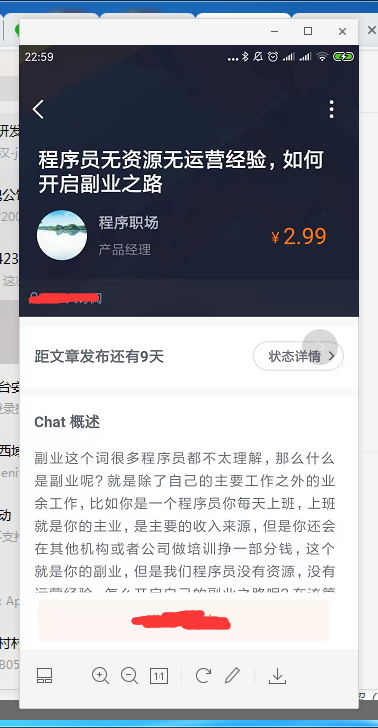 程序员技术一般做什么副业好一点_员工做副业_技术副业兼职