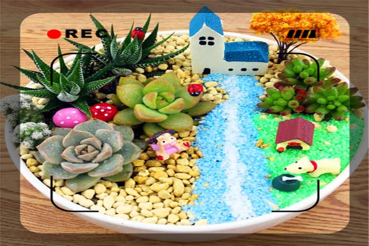 在家做代加工挣钱吗_在家加工代做生意赚钱_在家做的代加工