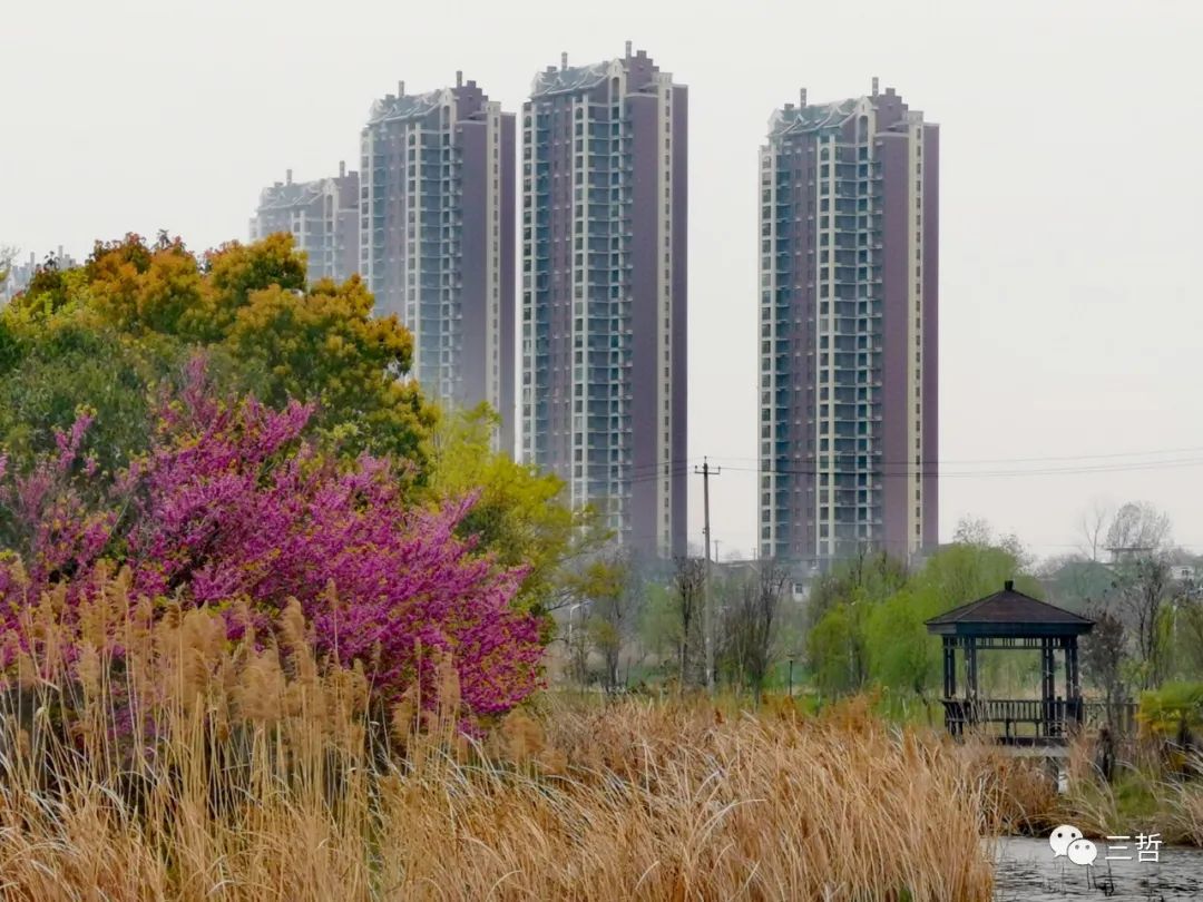 有什么来快钱的路子_来钱快路子野_来钱快的路