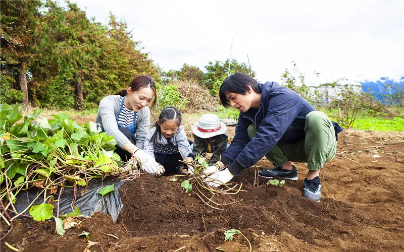 干什么加工厂投资小回报大_厂赚钱加工稳定投资有多少钱_0投资稳定赚钱的加工厂有哪些