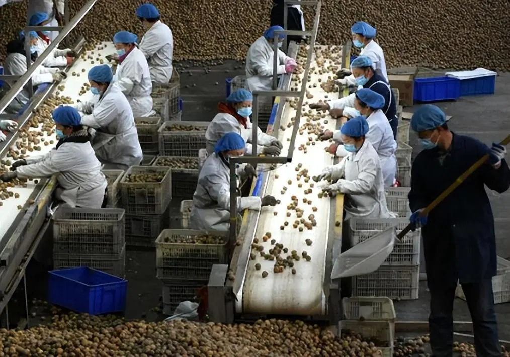 不愁销量的小型加工厂_小型加工厂不愁销路的行业_不愁销路的小型加工厂