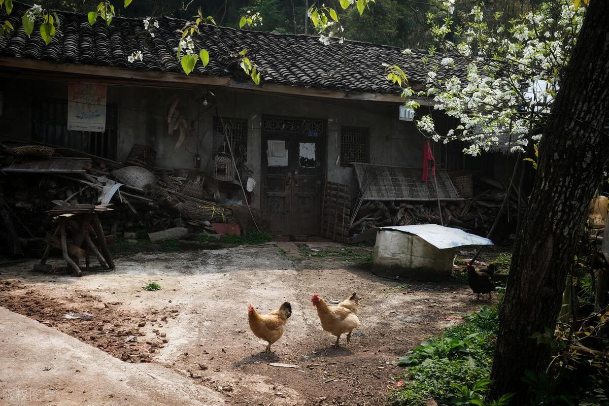 带孩子做什么小生意挣钱_带孩子想做点小生意_带孩子又要做生意是有多累