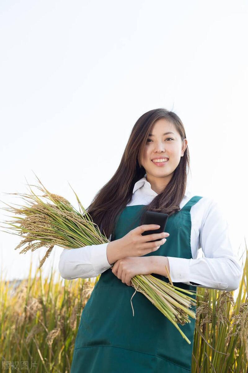 带孩子做什么小生意挣钱_带孩子想做点小生意_带孩子又要做生意是有多累