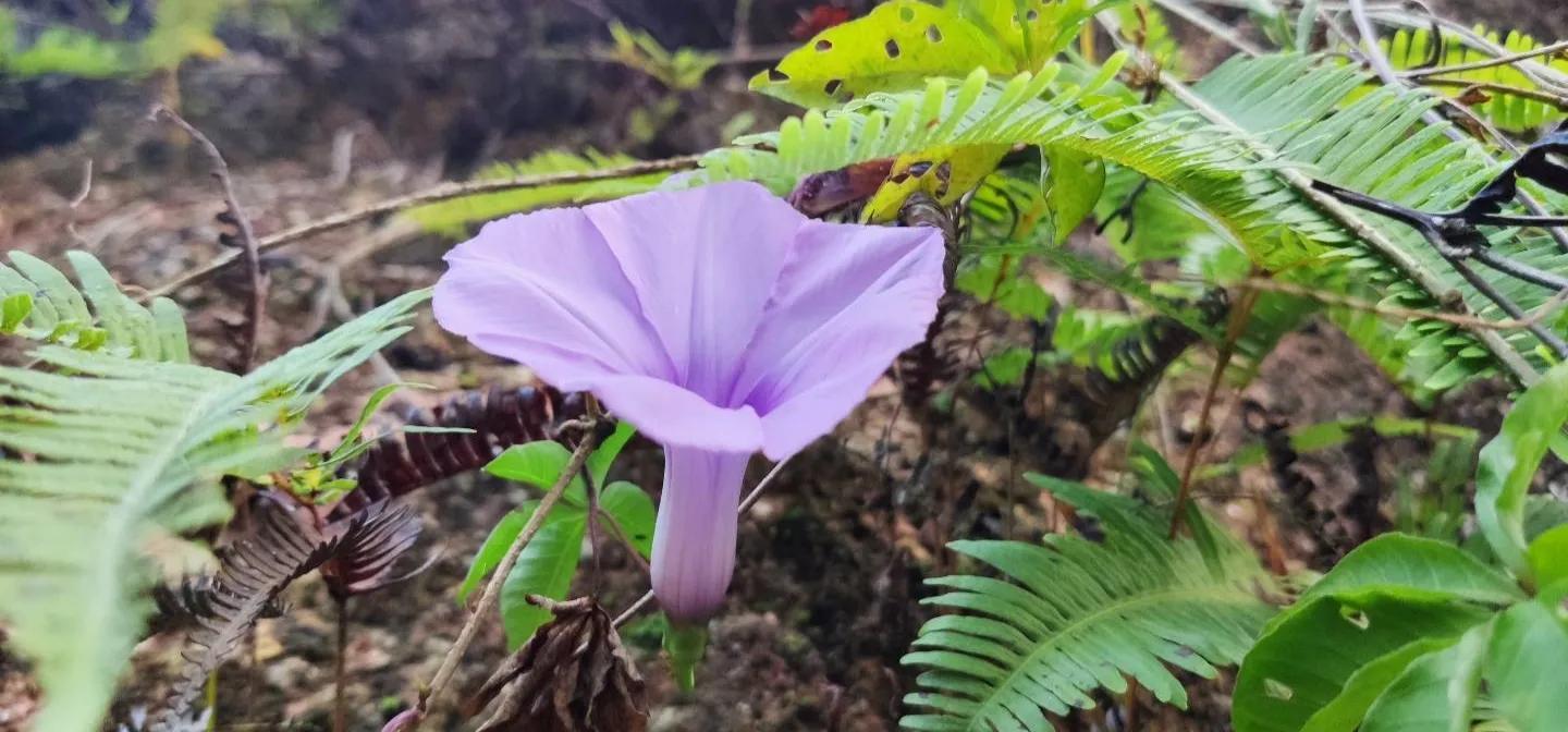 空闲时间可以学点什么提升自己-利用碎片时间提升自己，在将来遇见更好的自己