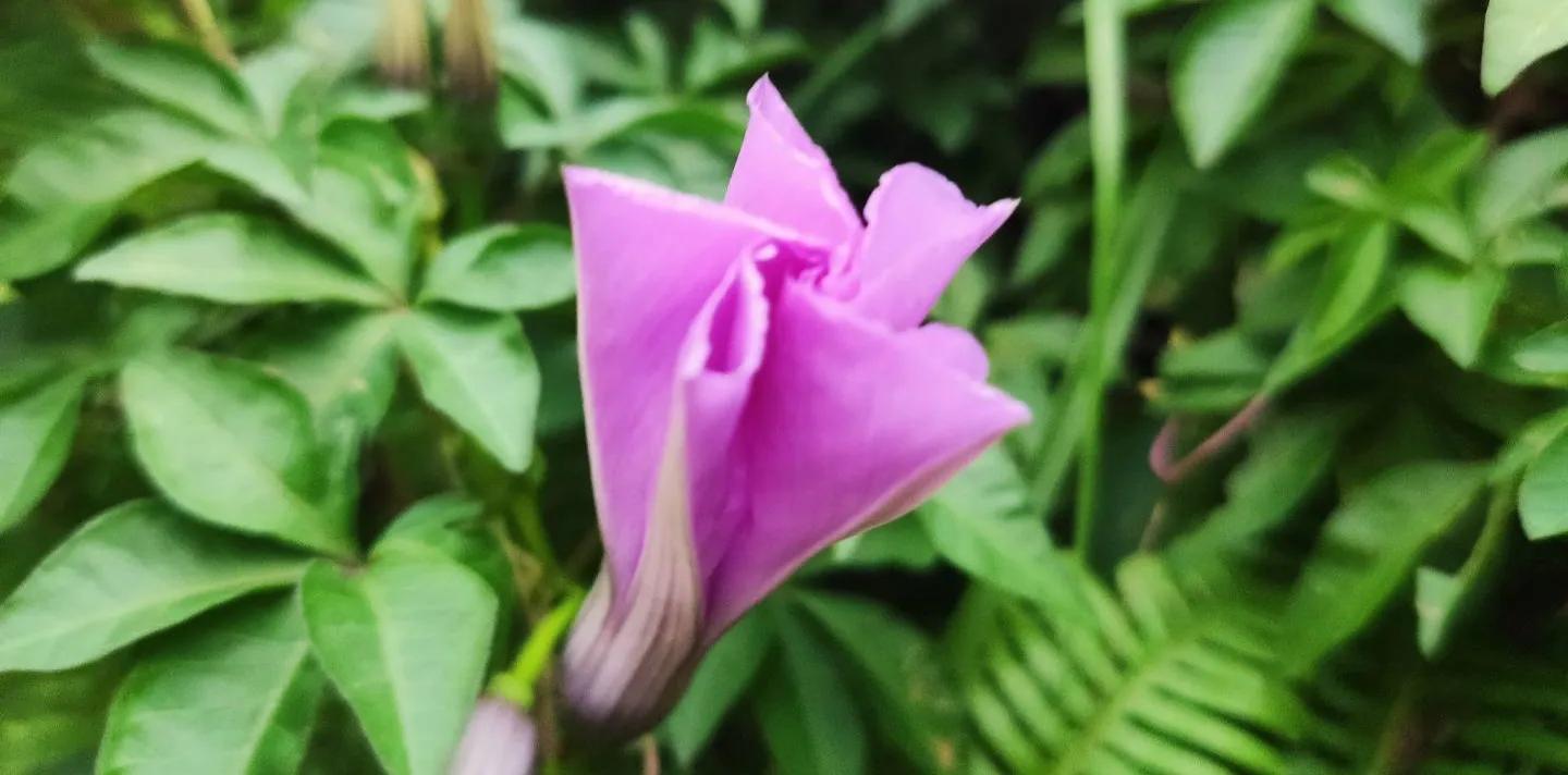 空闲时间可以学点什么提升自己_空闲时间学点什么好_空闲时间学什么提升技能