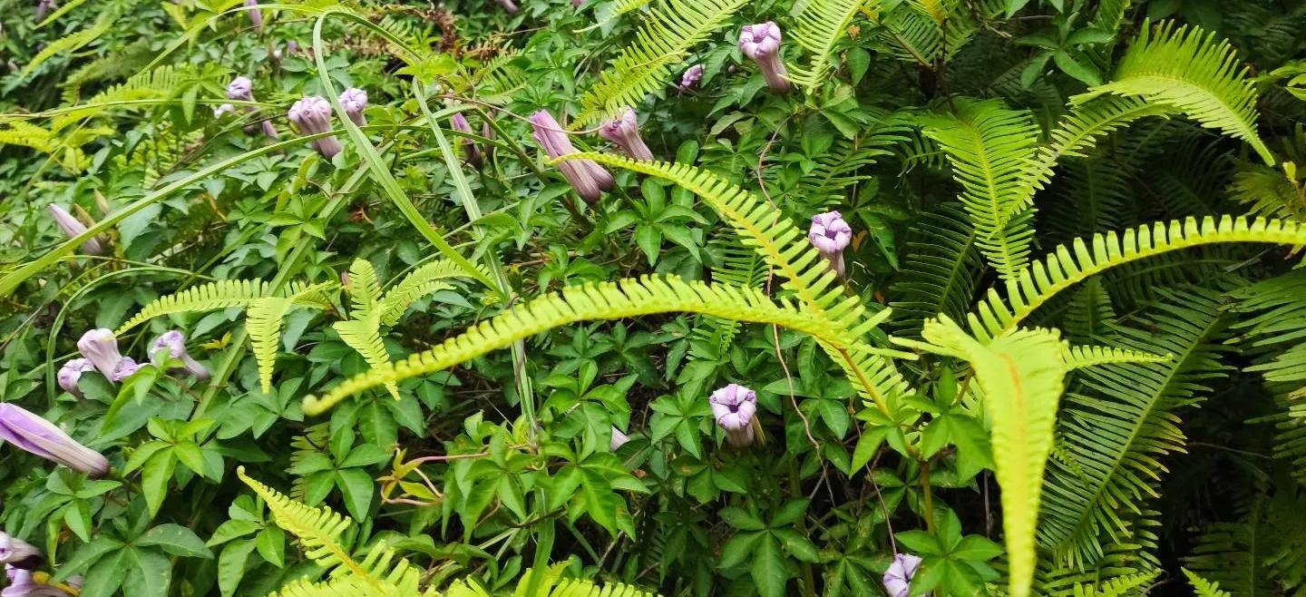 空闲时间学点什么好_空闲时间可以学点什么提升自己_空闲时间学什么提升技能