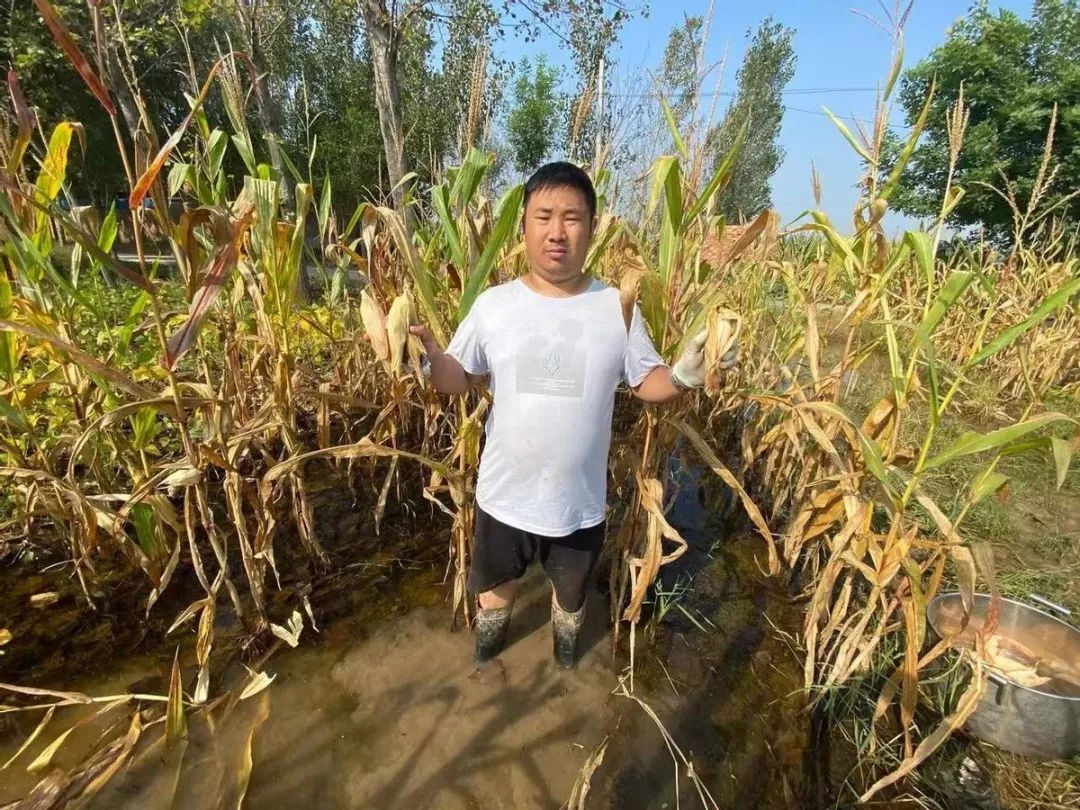 在新加坡干什么副业_挣钱新加坡副业现在怎么样_新加坡副业挣钱吗现在