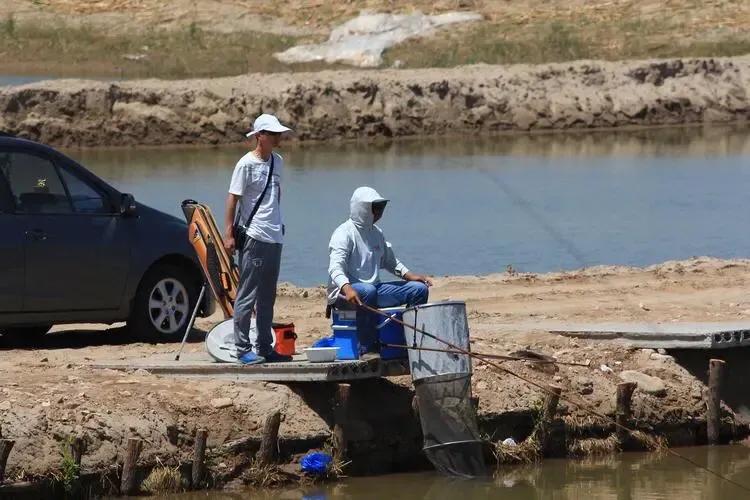 卖海鱼的利润高吗_海鱼有哪些副业挣钱_卖海鱼的生意怎么样